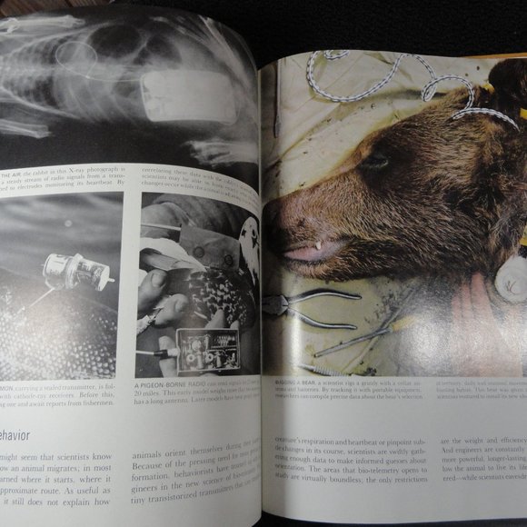 VtgLife Nature Librat 1965 Animal Behavior Illustrated Book~Cool Pics - Picture 4 of 5